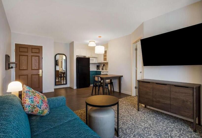 Люкс, Sonesta Es Suites Denver South  Park Meadows