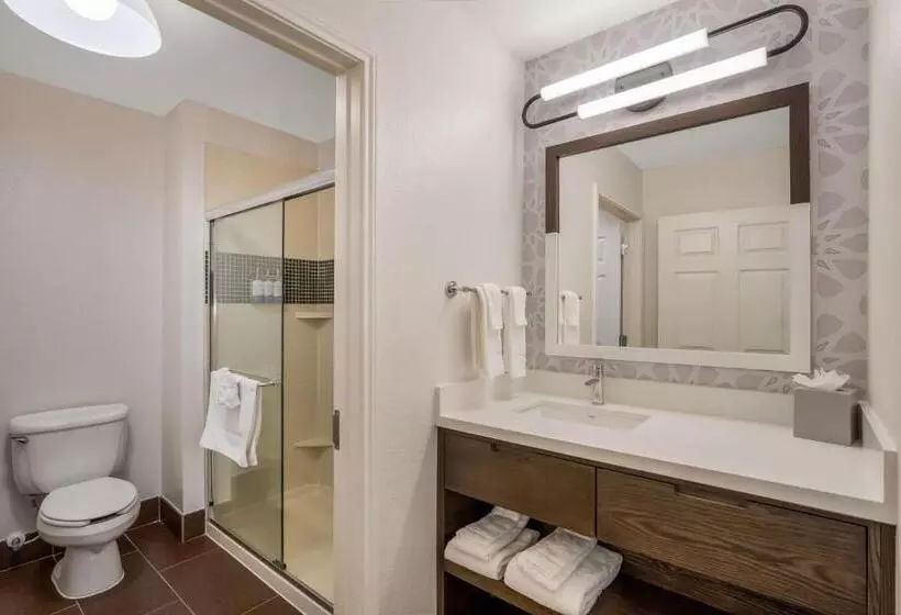 Standard-studio King-vuode, Sonesta Es Suites Denver South  Park Meadows