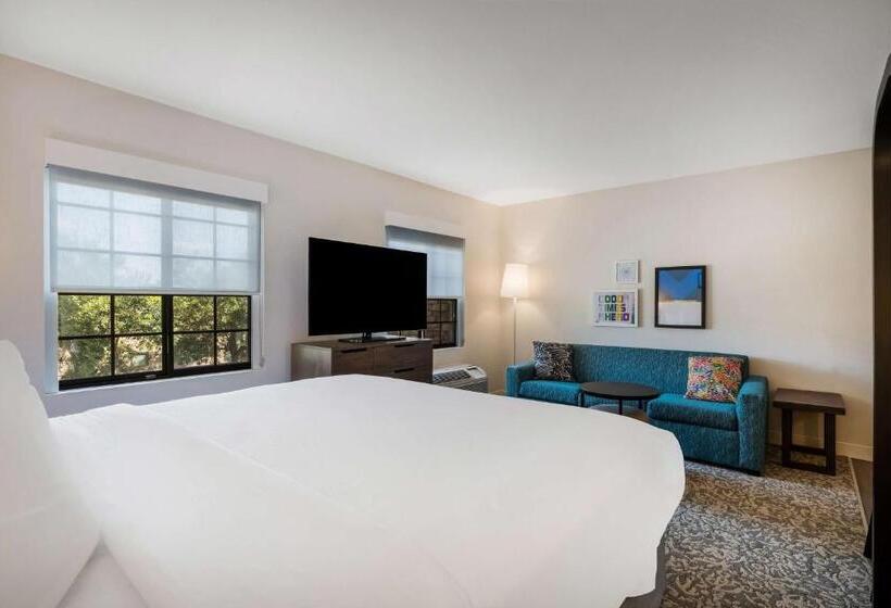 إستوديو قياسى سرير كينج, Sonesta Es Suites Denver South  Park Meadows