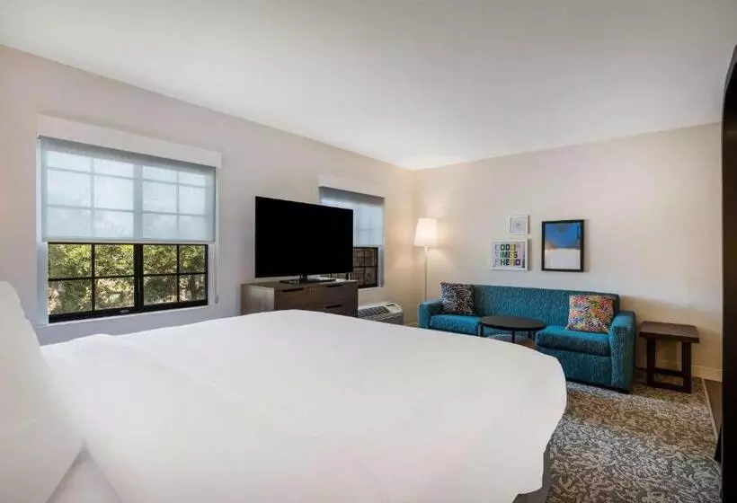 Standard-studio King-vuode, Sonesta Es Suites Denver South  Park Meadows