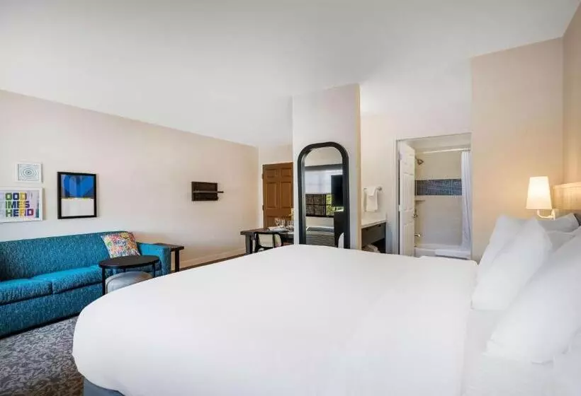 Standard-studio King-vuode, Sonesta Es Suites Denver South  Park Meadows