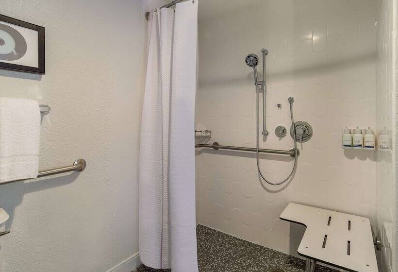 סוויטה מותאמת לאדם עם מוגבלויות, Sonesta Es Suites Denver South Park Meadows