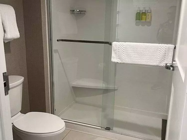 Deluxe-studio, Sonesta Es Suites Raleigh Cary