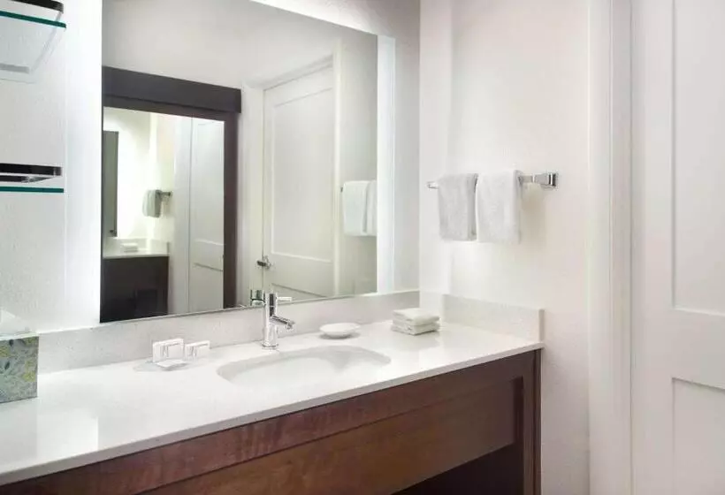 Standard-studio, Sonesta Es Suites Raleigh Cary