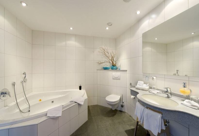 주니어 스위트, B Smart Hotel Schönenwerd