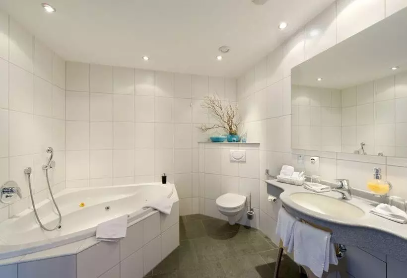 ジュニアスイート, B Smart Hotel Schönenwerd