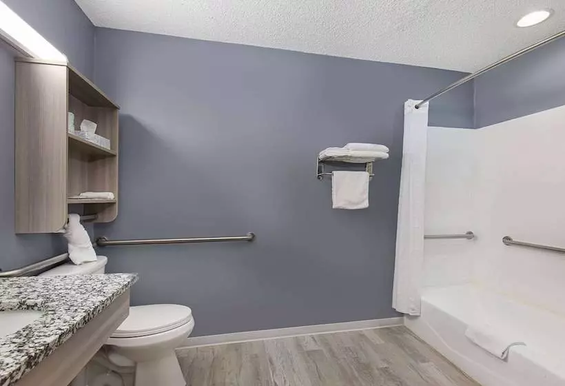 身障者適用スイートルーム, Microtel Inn & Suites By Wyndham Dry Ridge