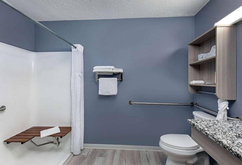 Люкс Адаптированный для Инвалидов, Microtel Inn & Suites By Wyndham Dry Ridge