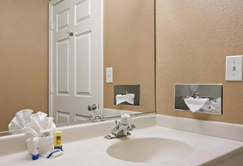 スタンダードルーム, Microtel Inn & Suites By Wyndham Mineral Wells/parkersburg