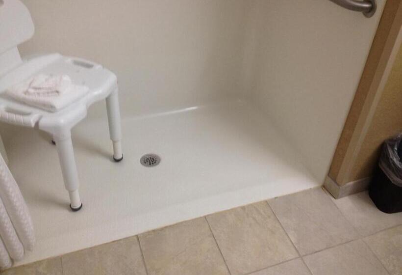 Номер Стандарт Адаптированный для Инвалидов, Microtel Inn & Suites By Wyndham Mineral Wells/parkersburg