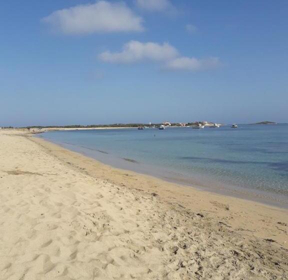 标准间, Domu De Palla