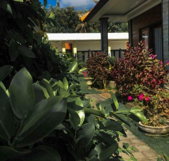 디럭스 테라스 룸 바다 전망, Juan Beach Bungalow