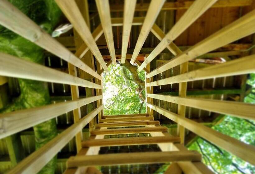Шале Superior 1 Спальня, Le Domaine De Wail Legends Resort