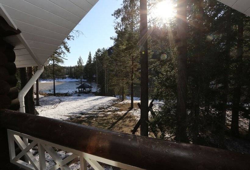 إستوديو قياسى سرير مزدوج, Urochishhe Saikol