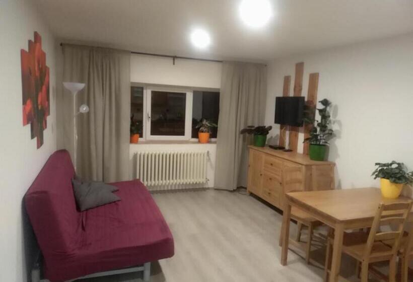 Апартаменты 1 Спальня, Zoopark Zelčín