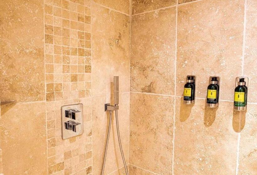 Номер Deluxe, Domaine Ribiera, Hotel 5 Etoiles, Spa & Golf Forcalquier