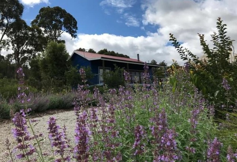 Дом 1 Спальня, Outlook Hill Vineyard Cottages