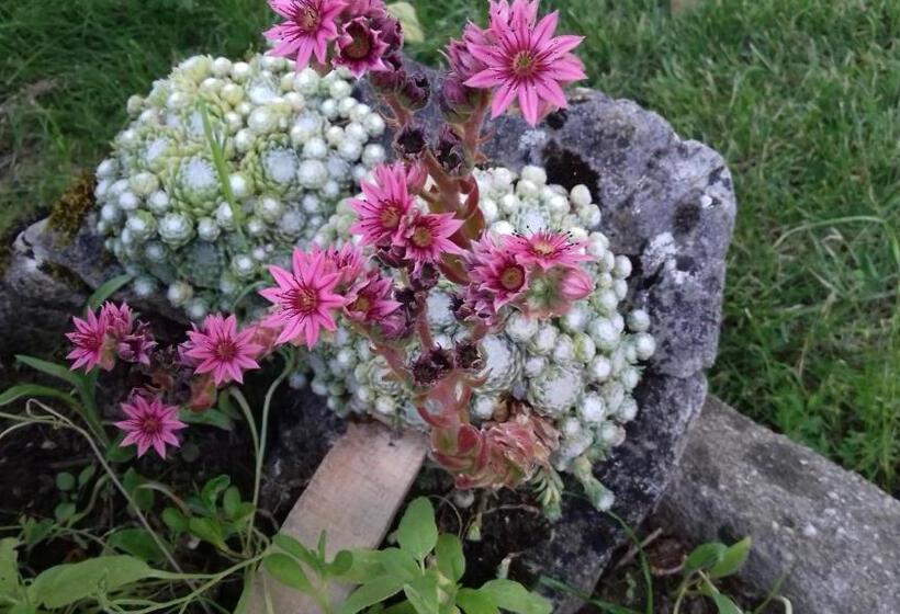 スタンダードスタジオ, Domaine De Fontenelay