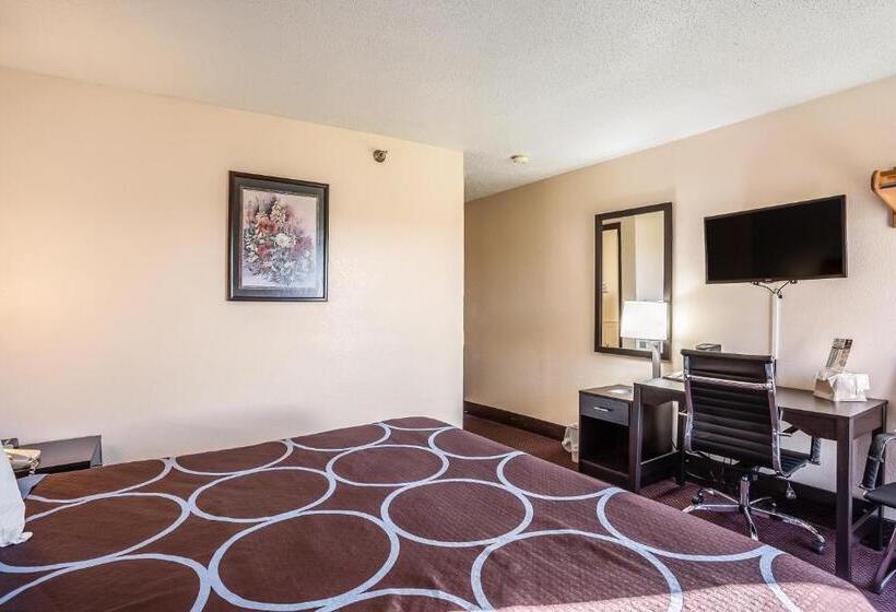 اتاق استاندارد با تخت بزرگ, Super 8 By Wyndham Galesburg