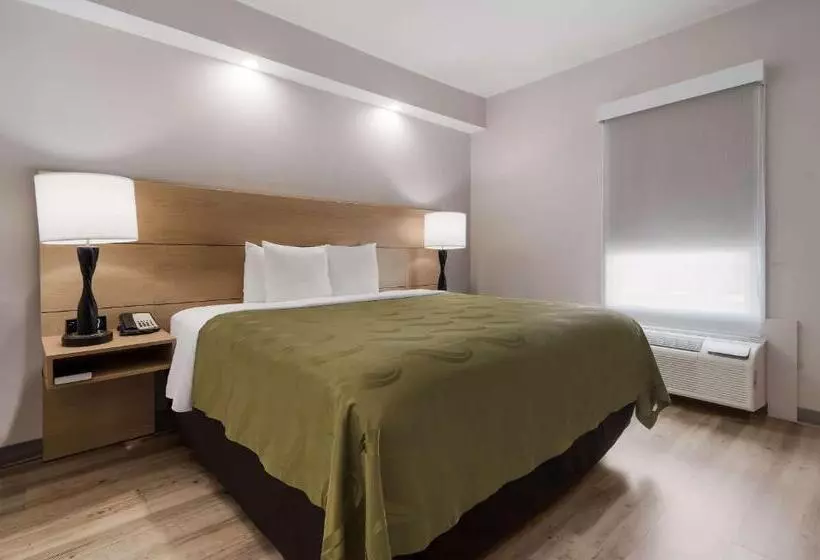 身障者適用キングサイズベッドルーム, Quality Inn Goldsboro