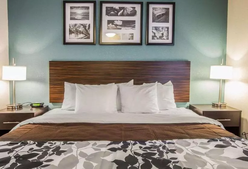 اتاق استاندارد با تخت بزرگ, Sleep Inn Greensboro Airport