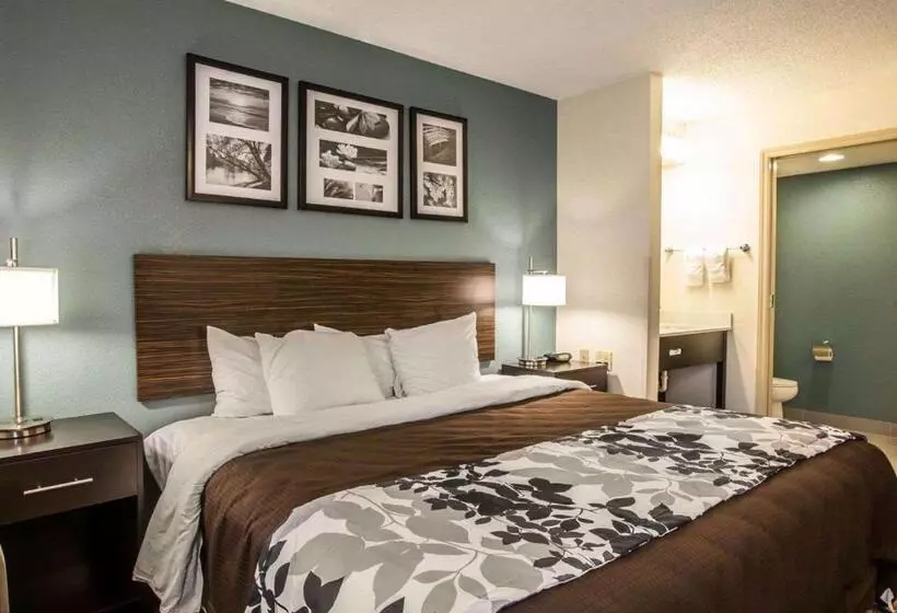 اتاق استاندارد با تخت بزرگ, Sleep Inn Greensboro Airport