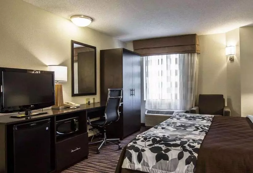 اتاق استاندارد با تخت بزرگ, Sleep Inn Greensboro Airport