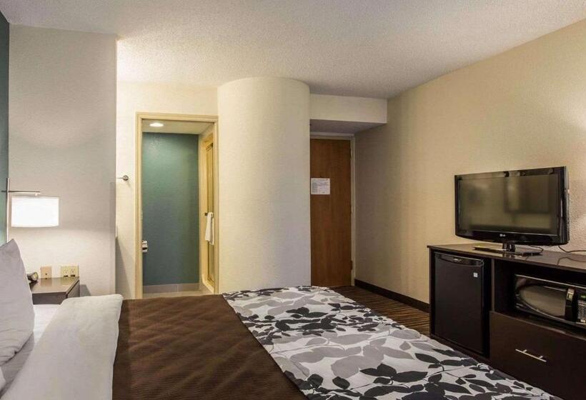 带大床的标准间, Sleep Inn Greensboro Airport