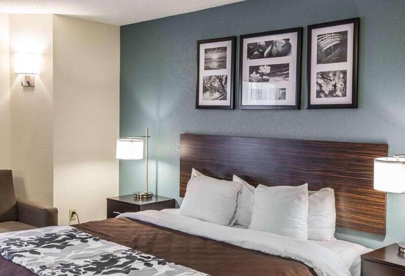キングサイズベッドのスタンダードルーム, Sleep Inn Greensboro Airport