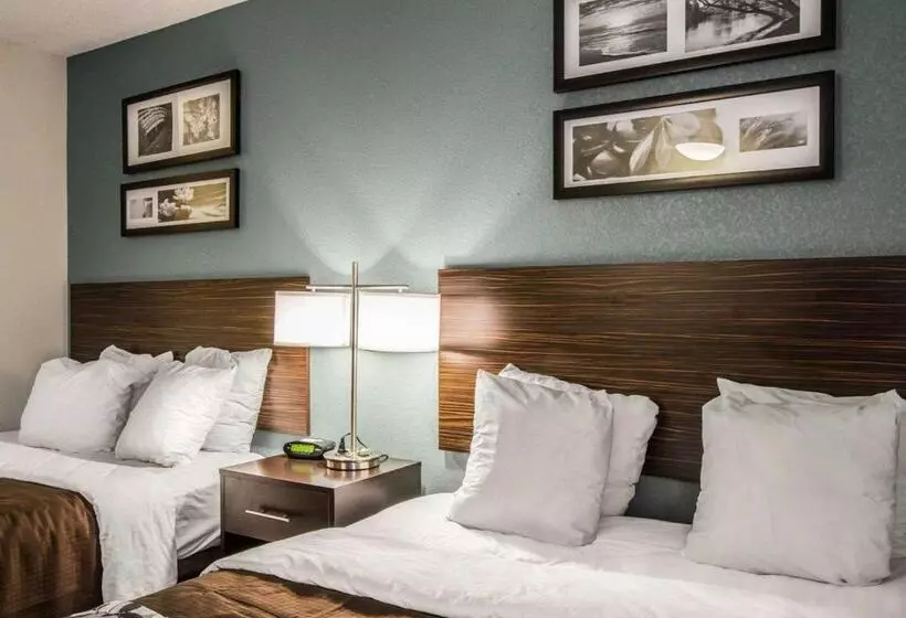 اتاق استاندارد, Sleep Inn Greensboro Airport