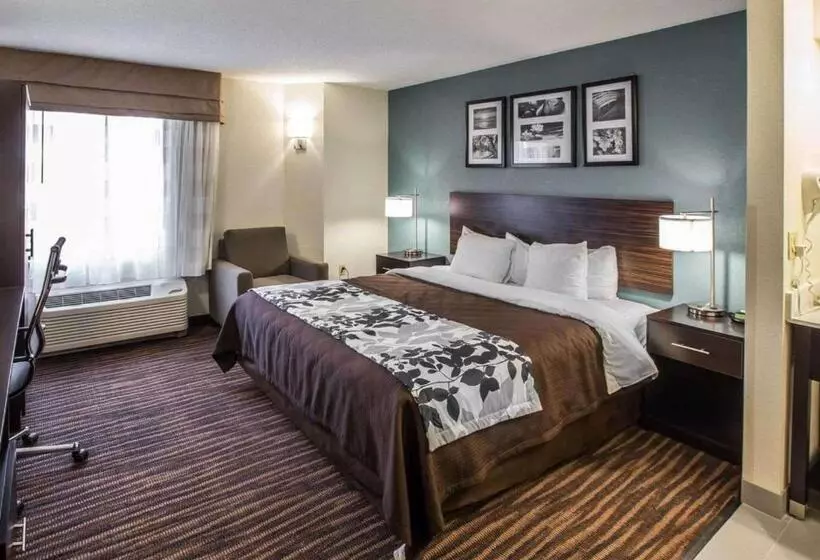 اتاق استاندارد با تخت بزرگ برای معلولان, Sleep Inn Greensboro Airport