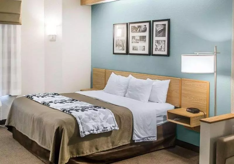 Standard-huone King-vuode, Sleep Inn & Suites