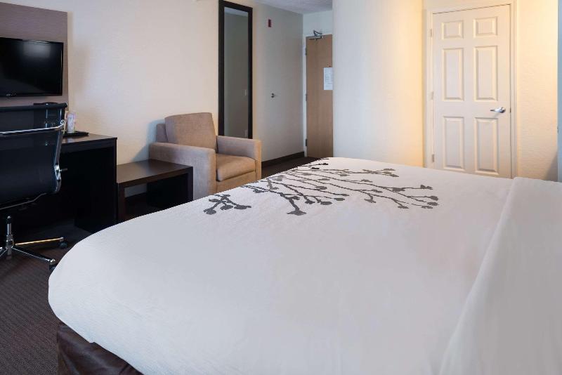 Стандартный Номер Кровать Кинг, Sleep Inn & Suites