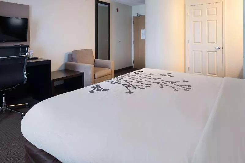 Standard-huone King-vuode, Sleep Inn & Suites