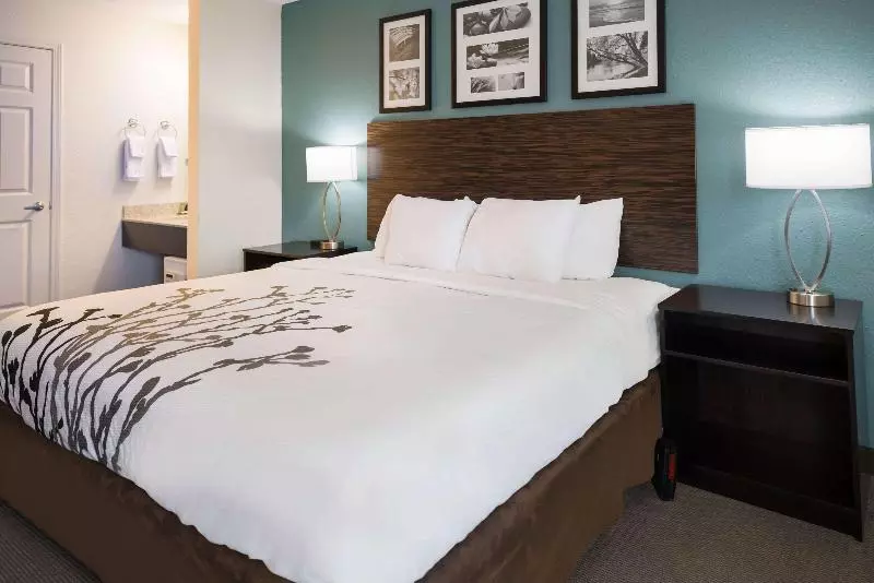 Standard-huone King-vuode, Sleep Inn & Suites