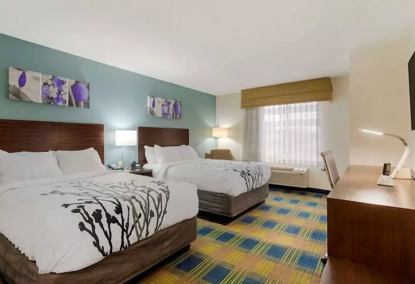 ２ダブルベッドのスタンダードルーム, Sleep Inn & Suites Smyrna   Nashville
