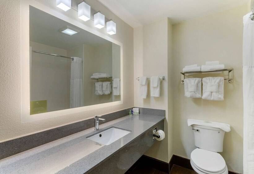 带2个双人床的标准工作室, Sleep Inn & Suites Smyrna   Nashville