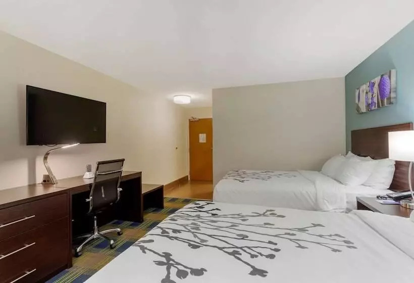２ダブルベッドのスタンダードルーム, Sleep Inn & Suites Smyrna   Nashville