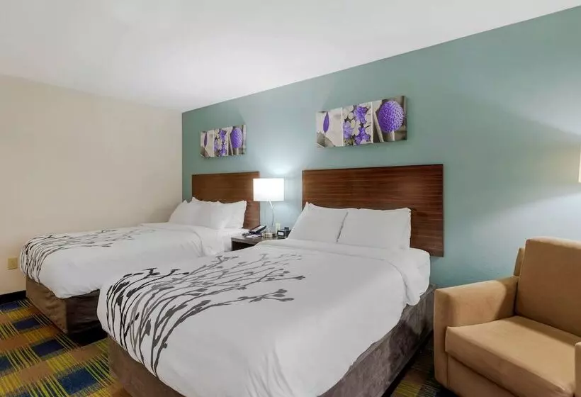 ２ダブルベッドのスタンダードルーム, Sleep Inn & Suites Smyrna   Nashville