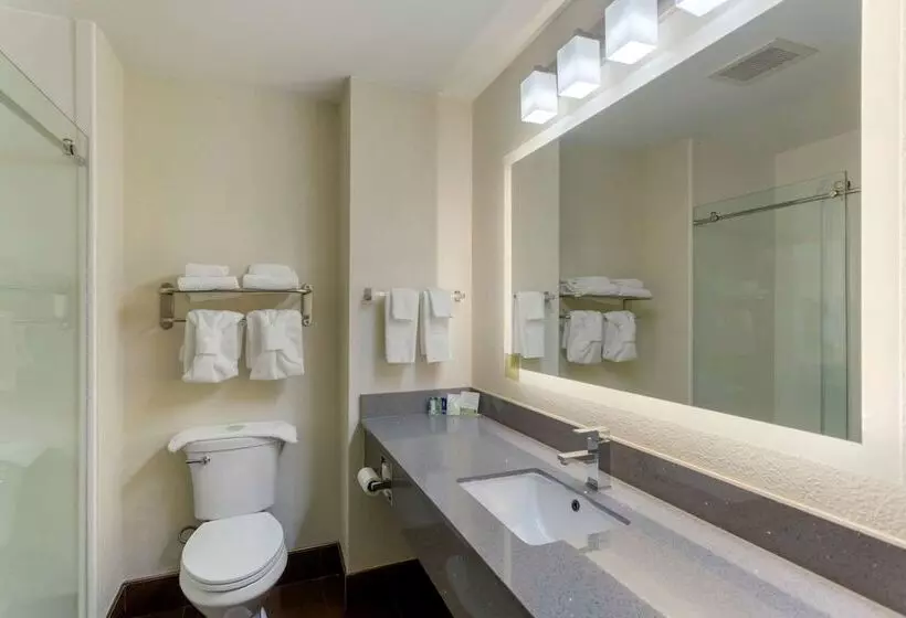 スイート, Sleep Inn & Suites Smyrna   Nashville