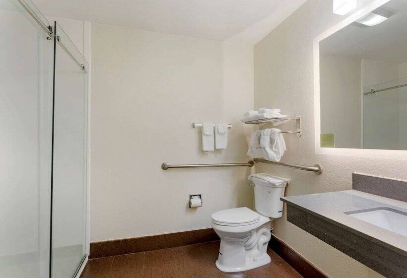 套房, Sleep Inn & Suites Smyrna   Nashville