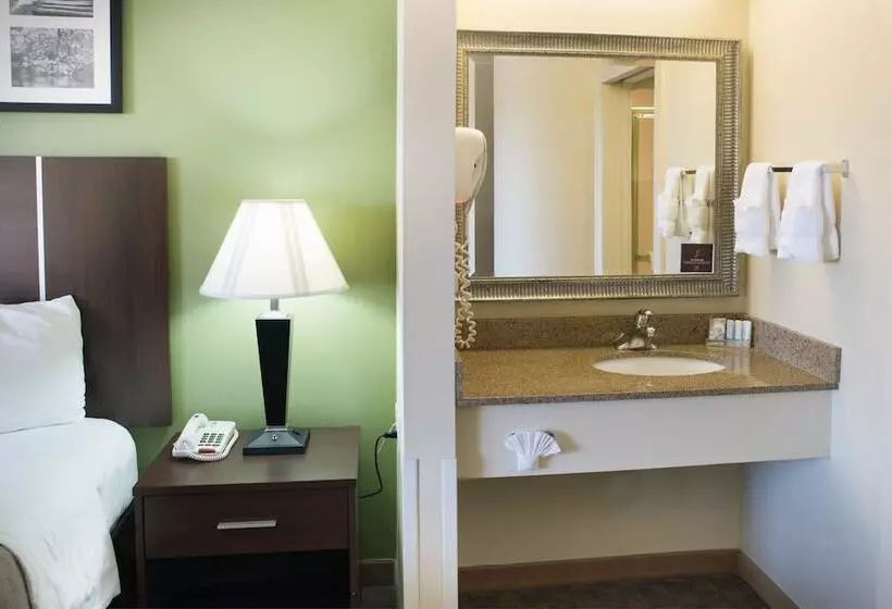 ２ダブルベッドのスタンダードルーム, Sleep Inn Asheville  Biltmore West