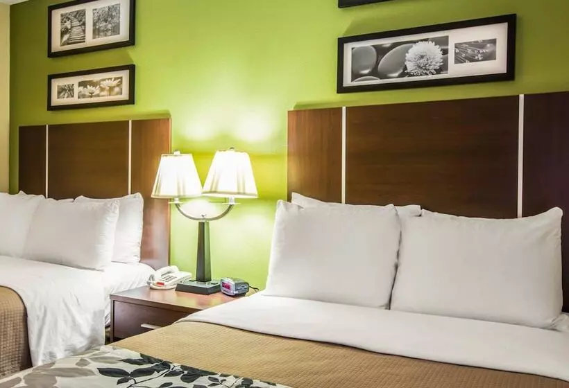 ２ダブルベッドのスタンダードルーム, Sleep Inn Asheville  Biltmore West