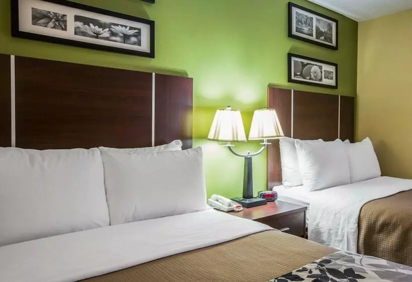 ２ダブルベッドのスタンダードルーム, Sleep Inn Asheville  Biltmore West