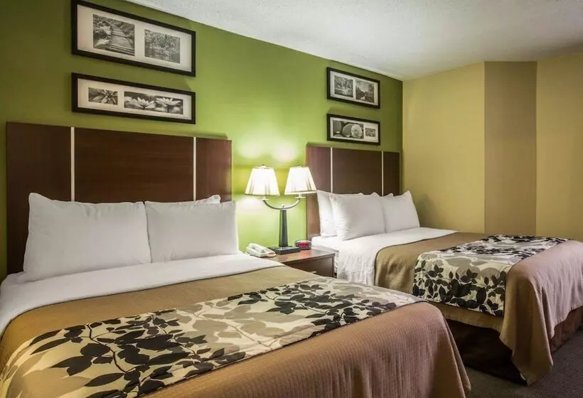 ２ダブルベッドのスタンダードルーム, Sleep Inn Asheville  Biltmore West