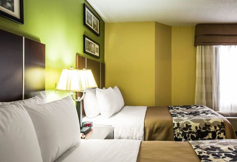 Номер Стандарт 2 Двуспальные Кровати, Sleep Inn Asheville  Biltmore West