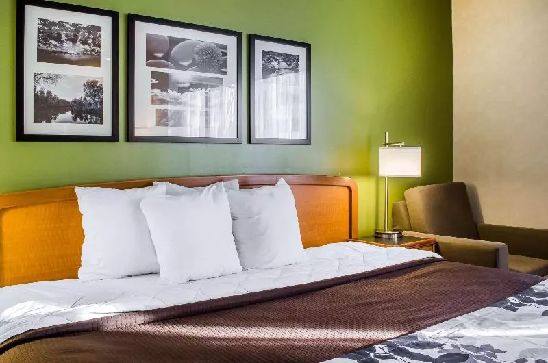 キングサイズベッドのスタンダードルーム, Sleep Inn & Suites