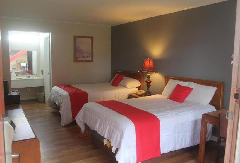 四人标准间, Springwood