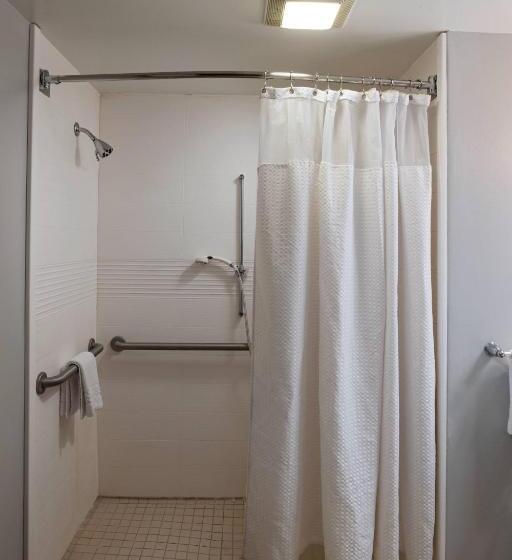 استودیو استاندارد با تخت کینگ, Towneplace Suites By Marriott Baton Rouge South