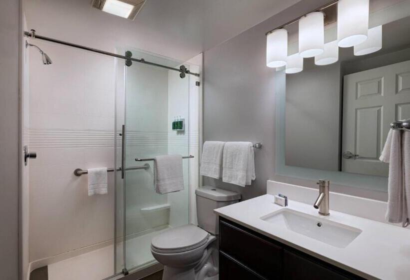 스탠다드 스튜디오, Towneplace Suites By Marriott Baton Rouge South